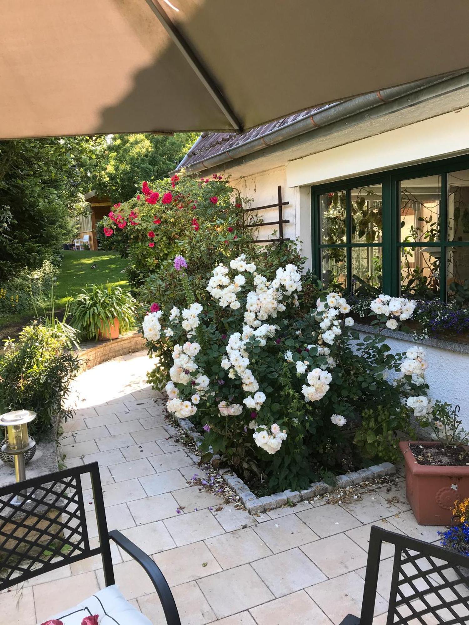 Ferienwohnung Landlust Neudrossenfeld エクステリア 写真