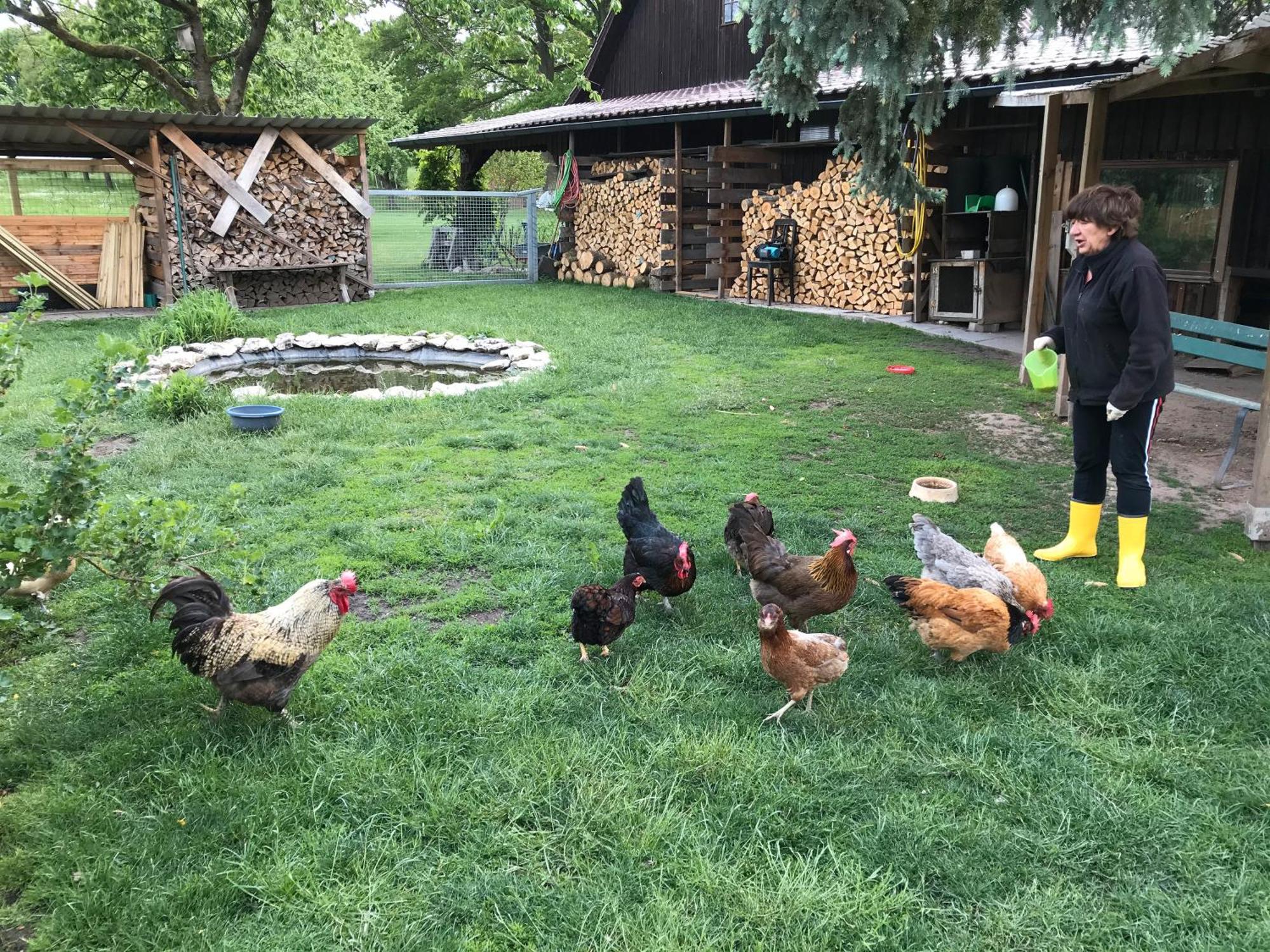 Ferienwohnung Landlust Neudrossenfeld エクステリア 写真