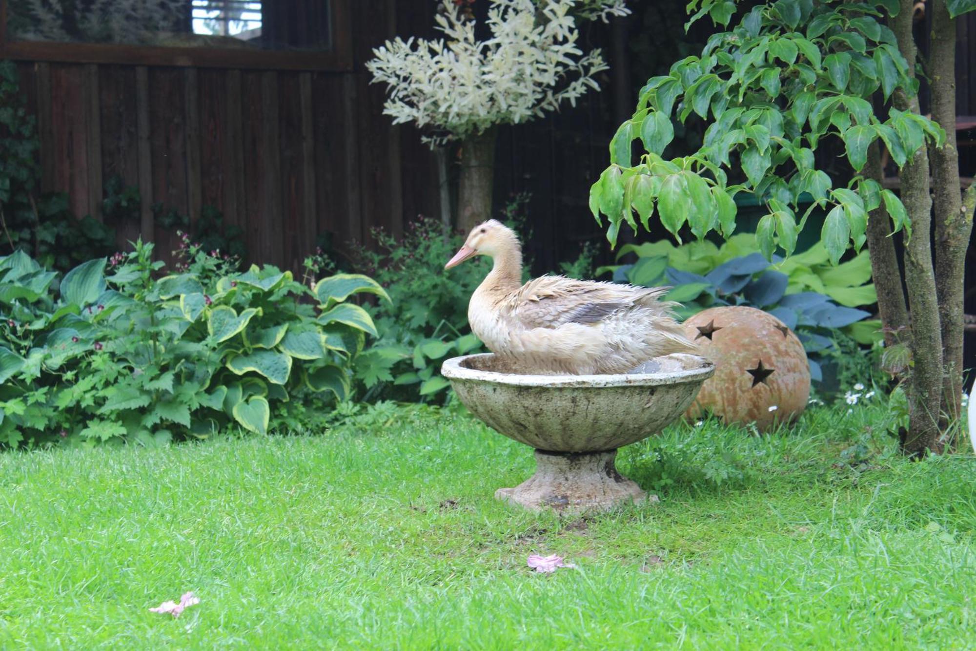 Ferienwohnung Landlust Neudrossenfeld エクステリア 写真