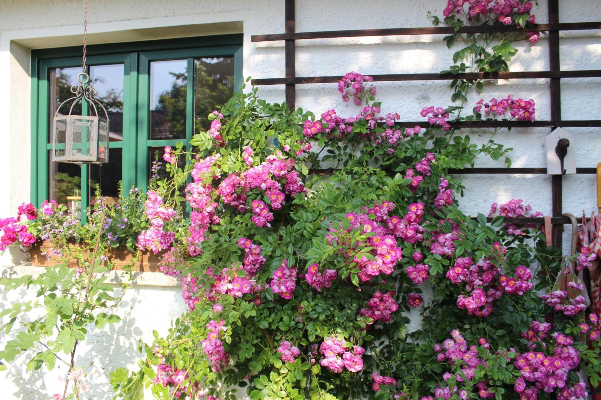 Ferienwohnung Landlust Neudrossenfeld エクステリア 写真